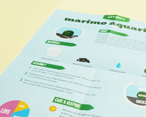 Marimo